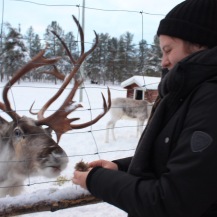 Me feeding a reindeer